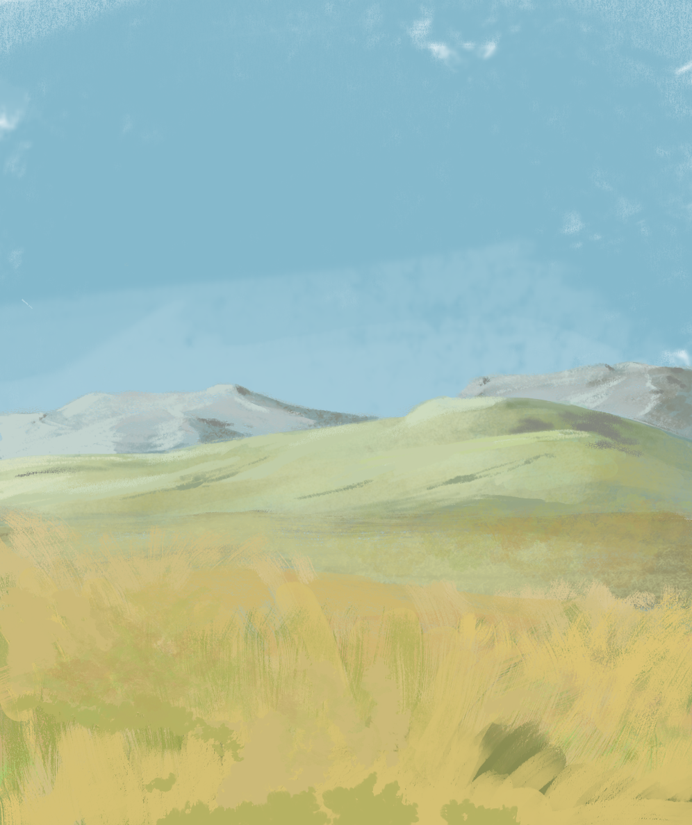 Land for creatures who are not there